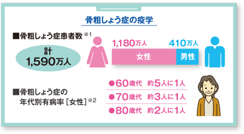 骨粗しょう症の疫学 骨粗しょう症患者数※1 計1,590万人、女性1,118万人、男性410万人　骨粗しょう症の年代別有病率[女性]※2 60歳代：約5人に1人、70歳代：約3人に1人、80歳代：約2名に1人