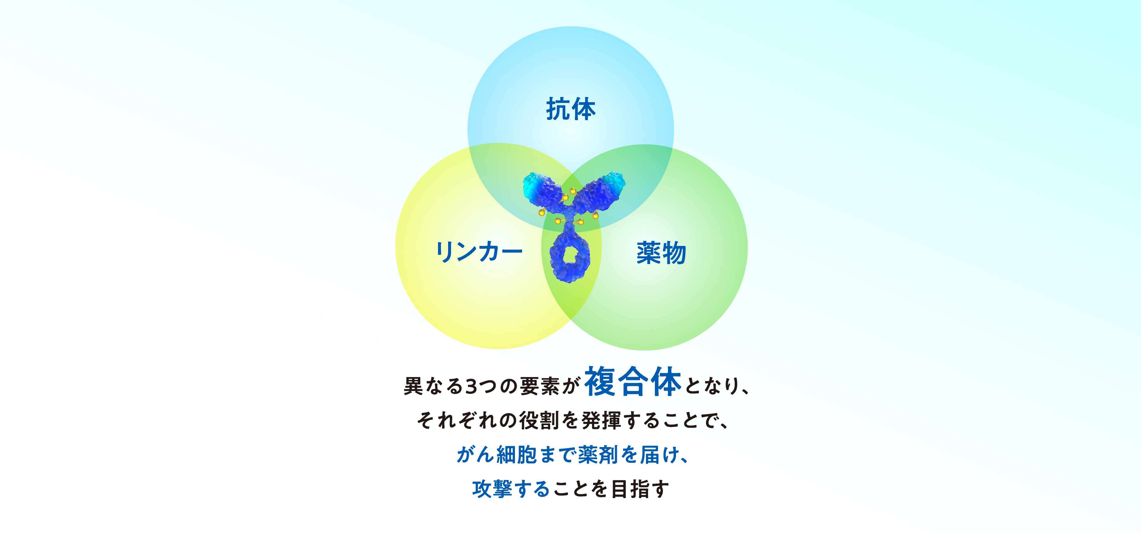 異なる3つの要素が複合体となり、それぞれの役割を発揮することで、がん細胞まで薬剤を届け攻撃することを目指す