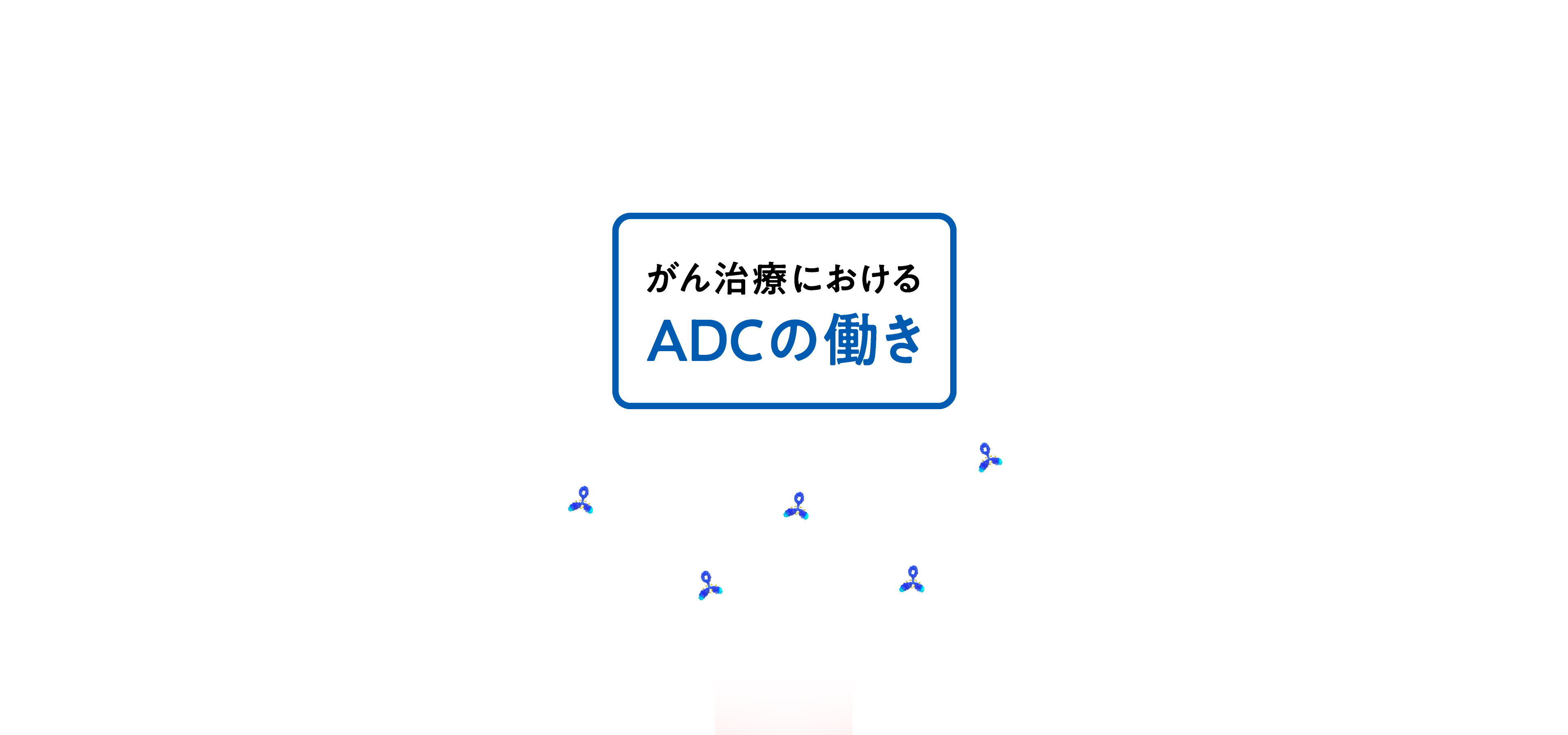 がん治療におけるADCの働き