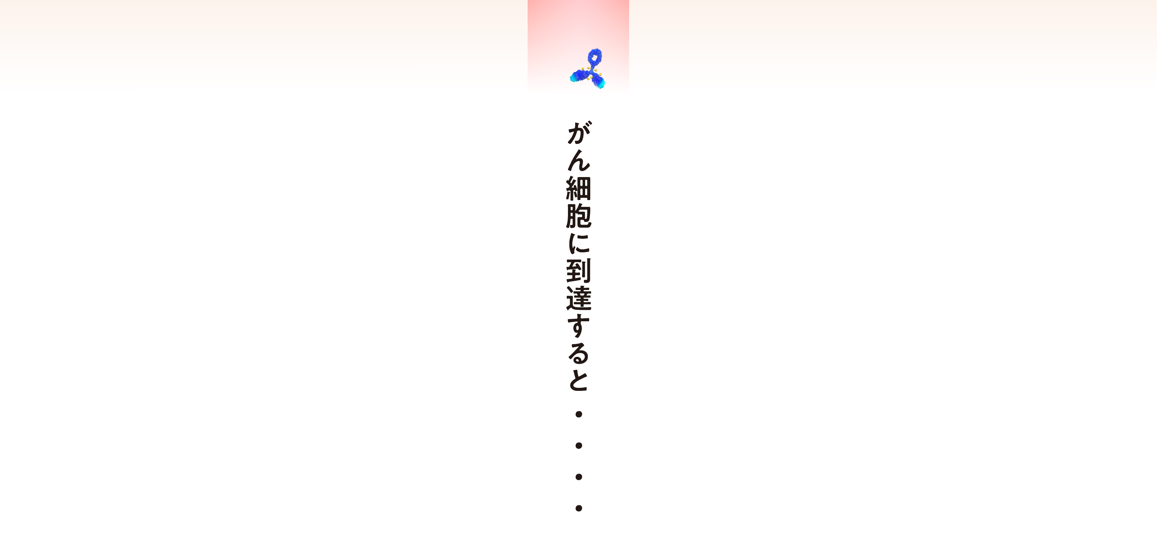がん細胞に到達すると