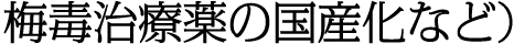 梅毒治療薬の国産化など）
