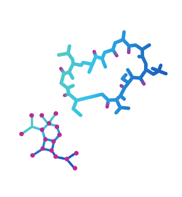 低・中分子のイラスト