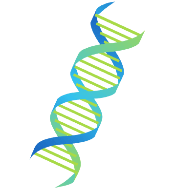 核酸医薬のイラスト