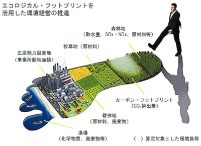 エコロジカル・フットプリントの算定図